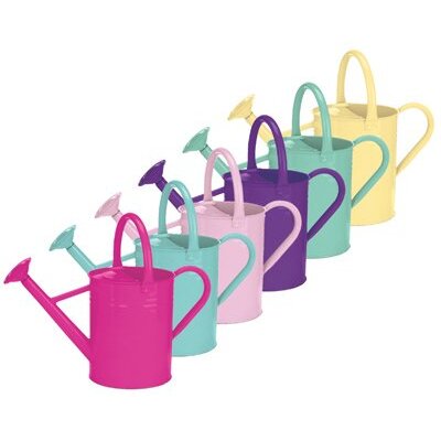 World Source Partners 8325 Watering Can, 1-Gallon, Assorted Colors
